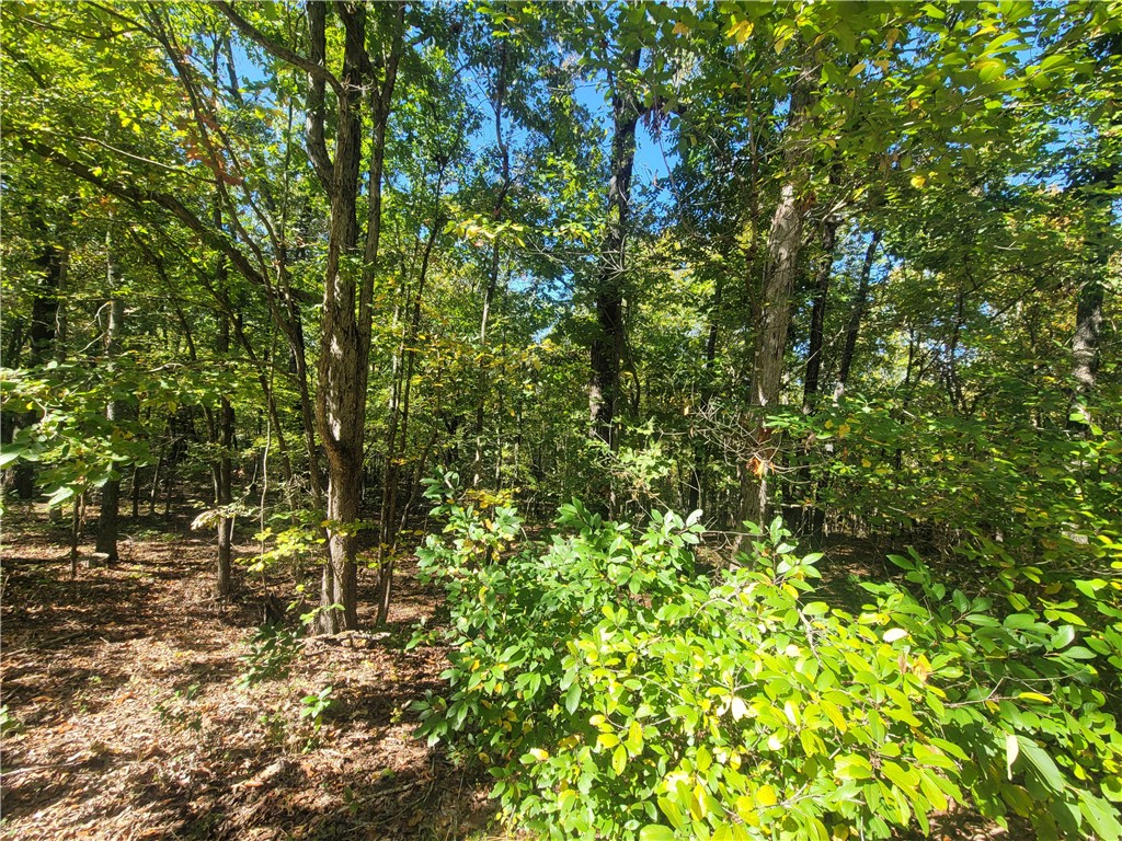Build your lake home on this beautiful (.37 +/-) wooded flat lot. Its so close to the lake and other area amenities. Owner Financing available.