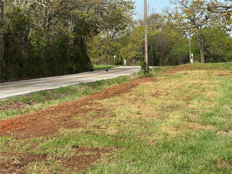 5 Acres plus a pond! Beautiful views on blacktop road 15 minutes to Farmington & 15 minutes to Lincoln or Prairie Grove. Large, beautiful tracts with awesome views. Soil test has been done. Splits are in process. No mobiles or chicken houses. Rural water is available from Lincoln. More acreage available. Agent owned. Acreage is subject to change. See ML# 1342729, 1342731-1342736