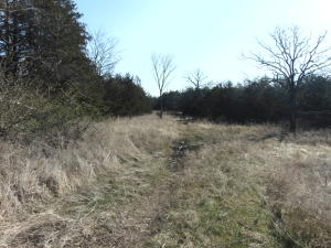 Nice little piece of the Ozarks - 11 Acres more or less with county road access and electric and water at the road. Gently rolling and partially cleared, Awesome building site