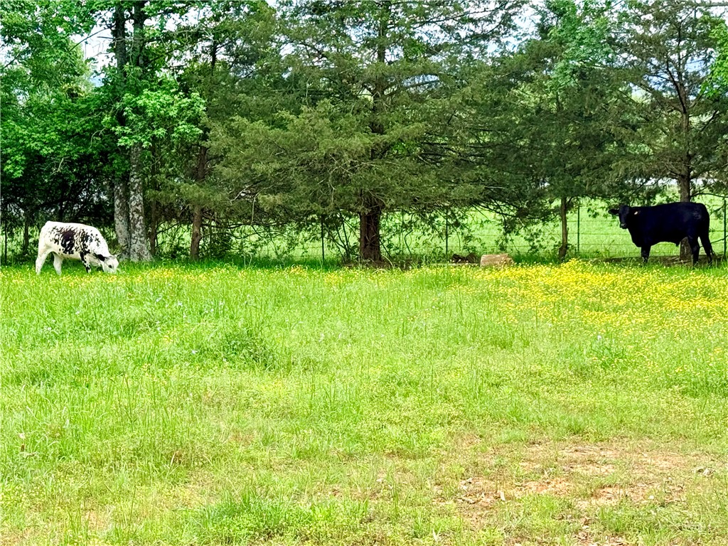 Mitchell Sub - Residential