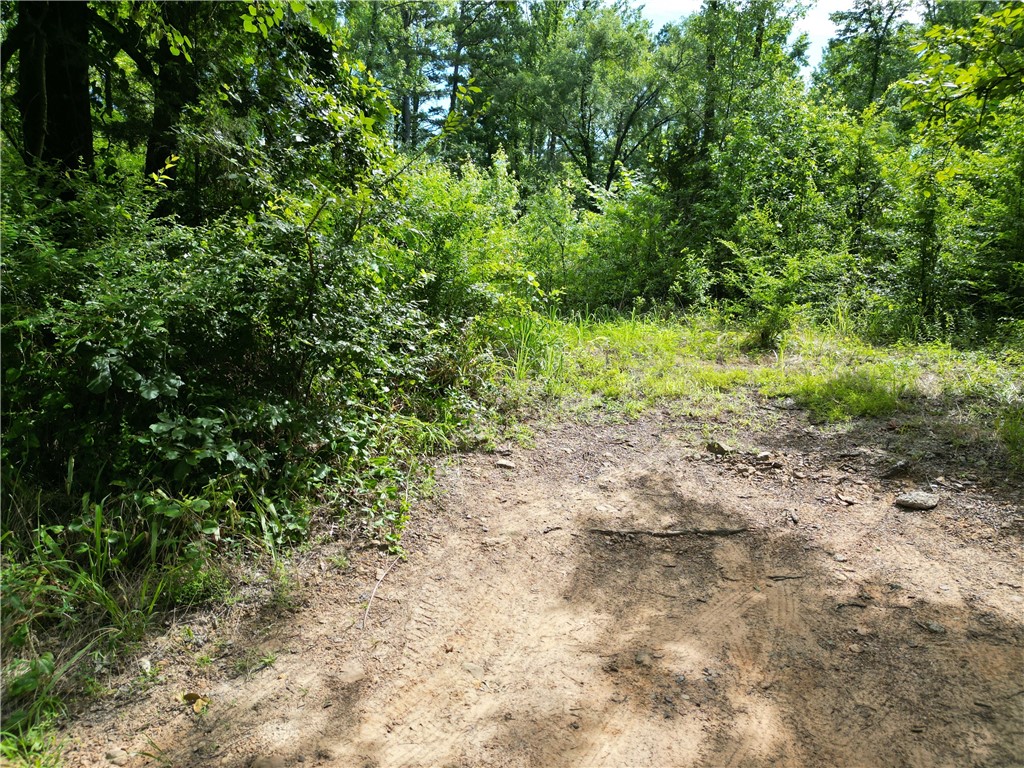 Hard to find no restrictions ! Nearly 1 Acre property with public water, power and possibly a useable septic . North of Dover