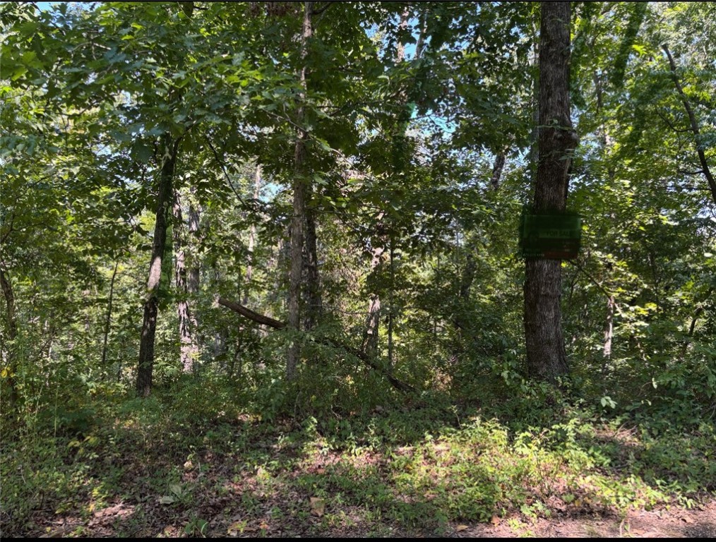 Great area! New construction homes coming up close by. Wooded lot so when you build your home you will be immersed in wildlife. Don't miss seeing everything Bella Vista offer. You are wondering what? Well here are a few things to do and see. ( Not Everything!). Mountain Biking, Country clubs, lakes, golf courses, recreation areas, indoor and outdoor swimming, tennis, playgrounds, walking paths to commune with nature! A gorgeous part of the Ozarks! Close by is Bentonville with a World Class Museum, Bucky Ball light Show, Momentuary Amazeum, Bustling downtown with restaurants, music venues and so much more!