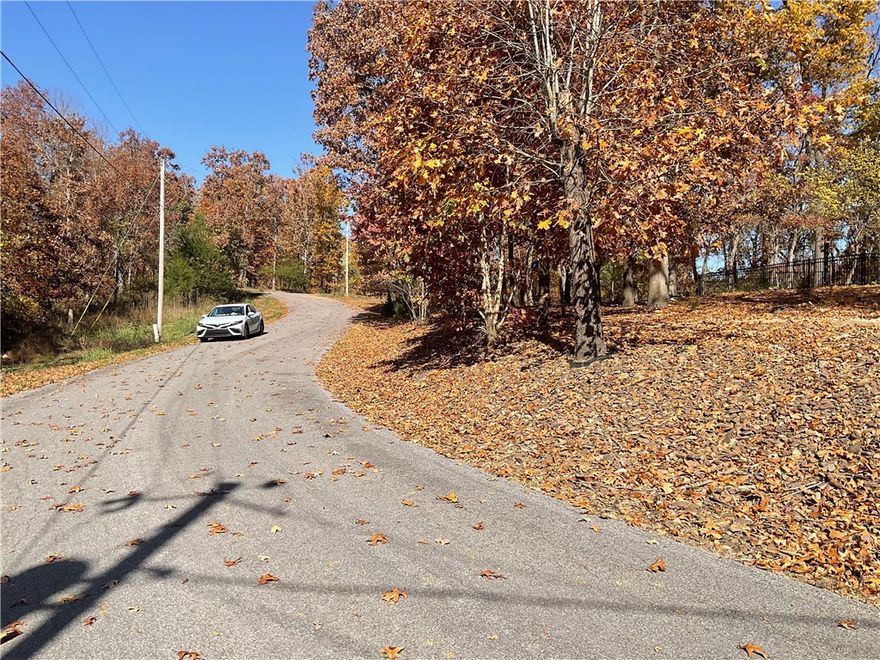 Two adjacent lots with the potential to build on one lot and enjoy the view, while owning more land. 
Near Scotsdale Golf Course. A highly regarded area with new builds on the street. Cul-de-sac, low traffic area with the ease to get back to 71B and Jane Wal Mart.