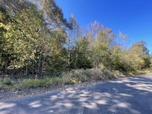 GORGEOUS BUILDING SITES. Call that architect and builder! Quiet location and no through traffic. Yet conveniently located close to the public schools, eateries, etc. Your custom home can become part of this prestigious neighborhood!