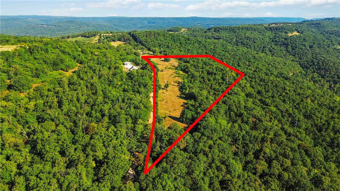 26.52 acres pasture & woods. Exceptional views to the East! Property nearly adjoins the National Forest. 1/8 mile from the Buckhorn OHV Trail head in the National Forest. Great place to build a house, put a tiny home on or use as a get-away/base camp for horseback riding or ATV riding through the extensive Buckhorn Trail system (you can even connect with Devils Den/Lee Creek using this trail system). A hunter's paradise.