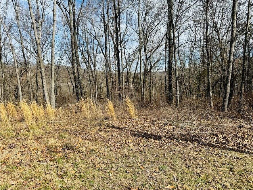Nice building lot with common property behind for wonderful views and privacy. Sloped in back for good drainage with easy access to Hwy 71 & Hwy  72.