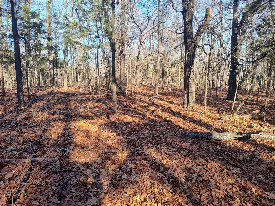 Looking for an affordable place for your home.  You just found it.  The entire acreage is flat so you can pick your building location and have plenty of room for a shop and large yard as well.  Quiet location outside of city limits and still only 10 minutes to Pea Ridge and Rogers.  25 minutes to Bentonville.  Lots of wildlife including deer and turkeys.  More acreage is available.  Also listed as 5 acres MLS #1310978.