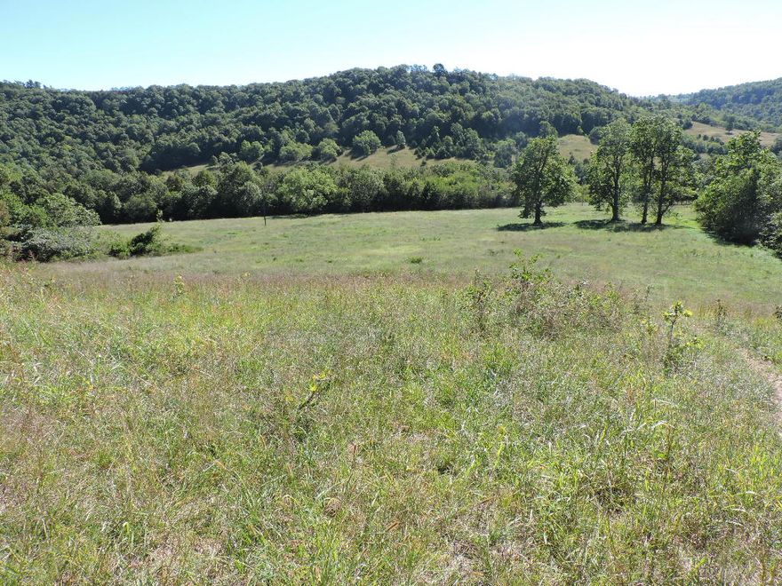 FEELS LIKE COLORADO in the OZARKS! This 525 acre property is located a short drive from the Buffalo River National Park and once you've seen it, you will agree, there is nothing else like it in the Ozark Mountains! A mixture of pine trees, hardwoods, an enormous mountaintop meadow, and beautiful towering bluffs will give you a ''Rocky Mountain High'' right here in the gorgeous Ozarks! Hike or drive to the top of the bluffs and enjoy the magnificent views of the surrounding mountains and valleys! The land is extremely diverse with everything from creek bottoms to mountaintops and a nice blend of woods and pasture. 8 ponds, a spring, seasonal creeks and a deep well add up to great water features. Fenced and cross fenced into numerous pastures. Excellent hunting for elk, deer & turkey!