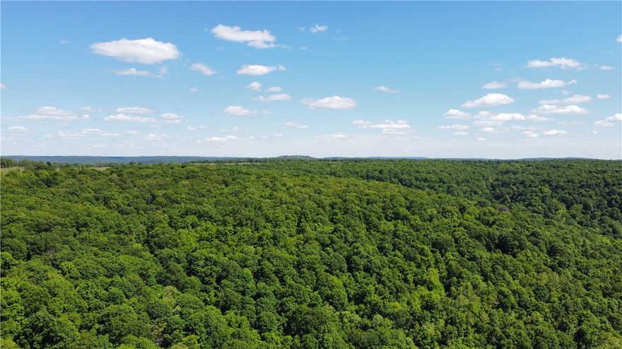 Looking for prime hunting ground with an established base camp lodge ? Or maybe a commercial shop with living quarters above ? Start your Ozark adventure with 38 acres of prime hunting land overlooking historic Garrett Hollow known for its pristine views and a sportsman's paradise for Washington County. Basecamp is a 4000 sq.ft building with unfinished living quarters above and a massive 2800 sq.ft covered side addition. Approximately 2 miles north of the Garrett Hollow WMA with Garrett Hollow Creek running through the entire length of property. Whether you're an avid hunter or outdoor enthusiast, this area is known for its deer, turkey and bear population. Municipal water at the road but also has a recent 600 ft well in place. Multiple building sites on flat western portion with utility access, & only 25 min. to I-49. Following a path north from the building through the woods takes you to a rough cut road angling down to the lower level of the property with interesting rock features & Garrett Hollow Creek.