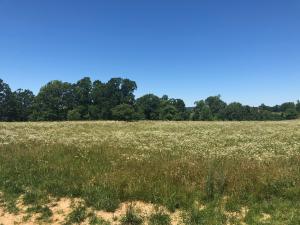 Looking for the perfect place to build your dream home...look no more. This nice and level 1.27 acre lot with rural water, electric, phone, and paved streets, located in a country subdivision just north of Harrison is waiting for you.