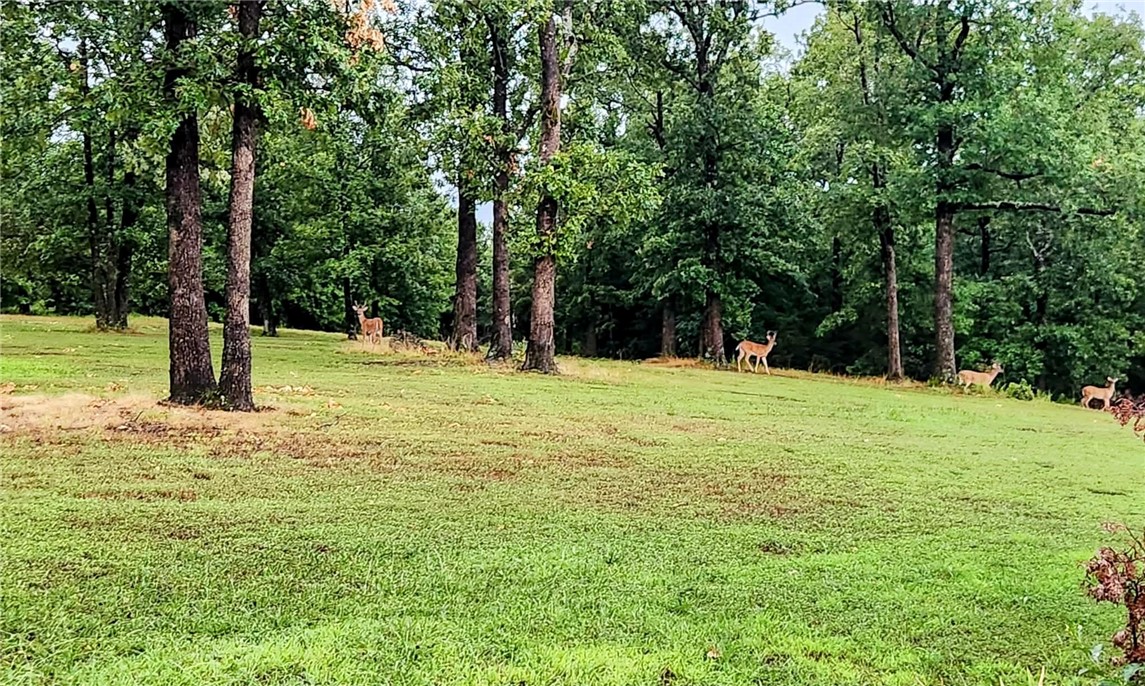 Outback Sub - Residential