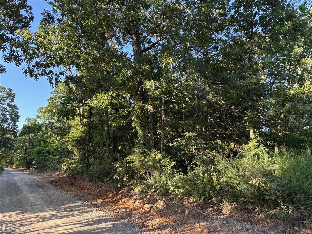 Nice wooded parcel fronting county road. Multiple secluded home sites possible. Easy county road access. Within an hour or less of Bull Shoals and Norfork Lakes, the Buffalo and White Rivers, and numerous hiking, camping, fishing, swimming, canoeing, hunting and sight-seeing venues. A great place for your Ozark Home or Get-A-Way. Buyer to confirm availability of utilities. Taxes are an estimate.