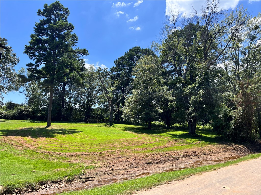 BUILDERS! Take a look at this nice, easily buildable .75 acre lot just off Hilltop Dr. This Mt. View Estates lot is a perfect location to build your home, with everything in Russellville just minutes away and yet the secluded neighborhood offers just enough privacy. There was once an existing home on the property, and did have a septic, but unknown if is still in existence or usable. Driveway and culvert in place to a gently upward sloping lot, providing a beautiful build site. Drive by and take a look!