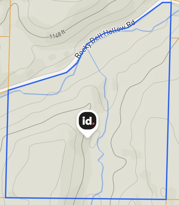 37 wooded acres. Development potential. This land has not changed hands for decades. No Deed restrictions. Buyer to verify utilities. See MLS 1318830 for additional 6.20 acres adjoining this parcel.