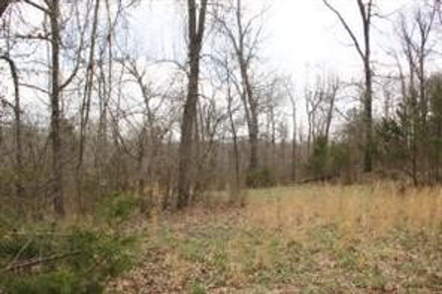 Very nice lot to build your Dream Home on! Nice development between Harrison, AR and Branson, MO. Buyer to verify availability of utilities.
