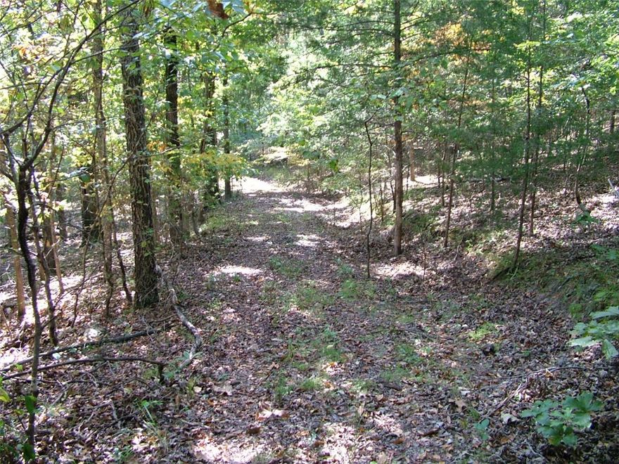 Build your dream home just minutes from the White River! 10.06 ac M/L of unrestricted land. A cleared dirt road through the property gives you access to several build-able spots nestled deep in the woods! Hunting , fishing or just living the quiet life all possible on this beautiful parcel! Don't miss out on this amazing opportunity!