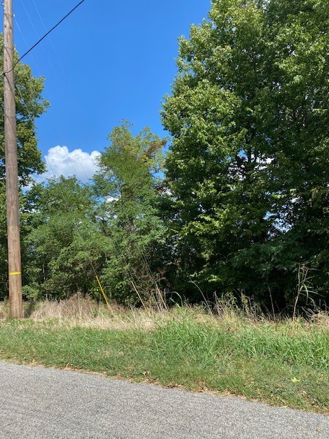 This amazing lot will have a view that goes on for miles for your forever or vacation home, or nightly rental. All utilities are on the street with easy access which saves thousands. Unit 1 is the only place in Holiday Island where placing mobile homes is allowed. It is within minutes of amenities of Holiday Island such as trails, golf, boating, swimming, pickle ball, more golf, etc... you must see this lot to appreciate it, don't let this one slip past you!!