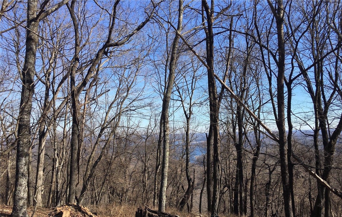 1.17 level acres on top of Whitney Mountain with magnificent views of Beaver Lake. Perfect spot to build your dream home. Enjoy all the amenities of Lost Bridge Village: swimming pool, tennis courts, rec building and village hall, library, airstrip, and security patrol. Lot 26 Oak Cliff is also listed MLS #1236154 and lots 10,11,25 MLS #1141112