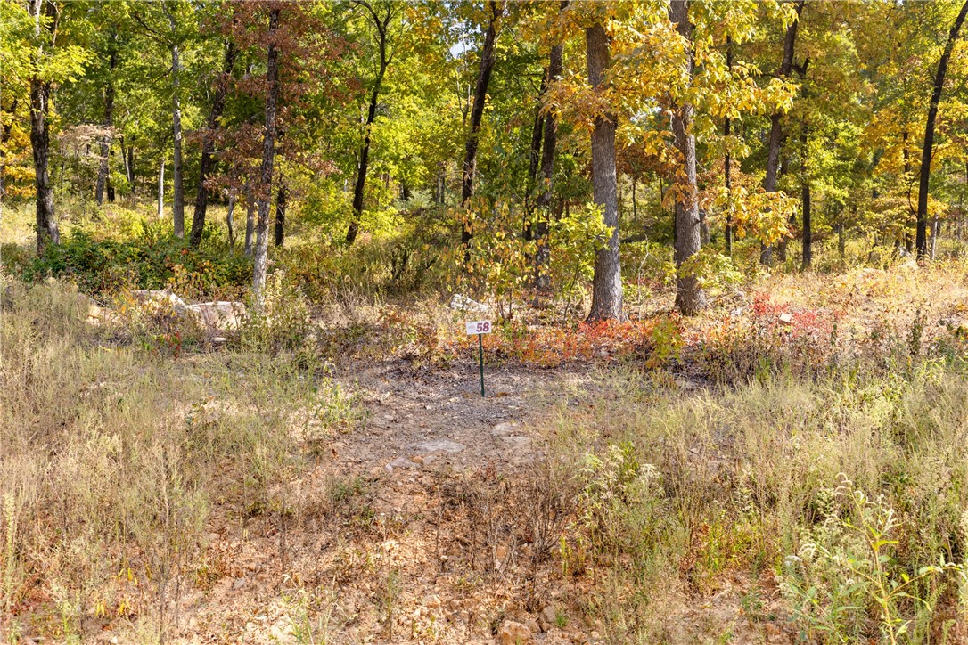 Lot 58 is 0.80 m/l acres in size and has a great lay to it-gently sloped to rolling and has creative rock features. The views on this lot to the Southwest will take your breath away! Round Mountain Estates is a new, master planned, exclusive subdivision located 10 minutes west of Harrison, AR. The following utilities are already on site making the building process much easier for you; natural gas, fiber optic internet, electric, public water, and sewer. Interested in your family seeing the star lights instead of those city lights? RME is what you've been searching for! RME features a 350 +/- acre common area for its residents that includes a stocked fishing pond, Kissing Rock trail, natural springs to explore, Baby Canyon trail, incredible bluff lines to climb, and views for hundreds of miles that will not only take your breath away but will forever be etched in your memory! Neighborhood amenities coming soon