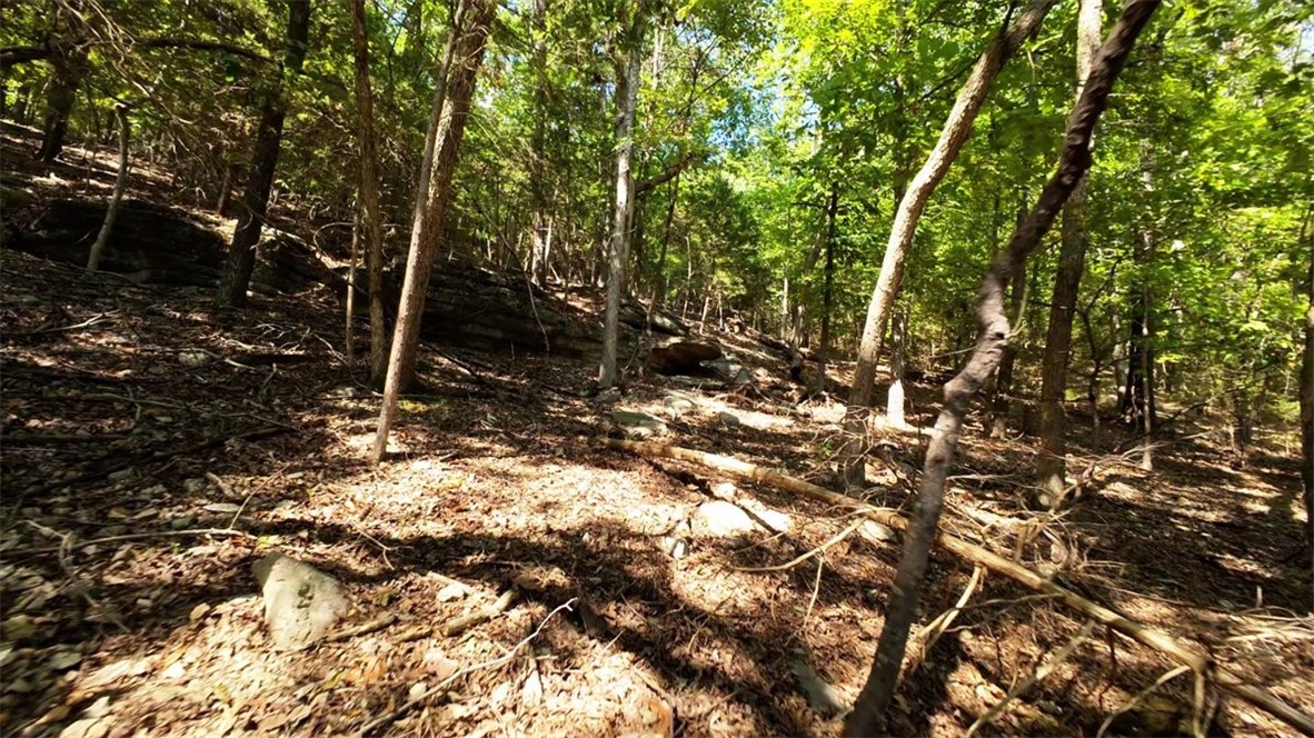 Lost Bridge Village Rurban - Land