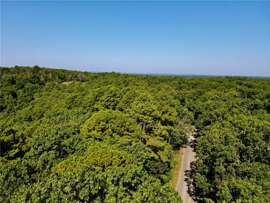 3 COUNTY RD 207, EUREKA SPRINGS, AR 72632 - Image 71aa70ab613e9ebe91a2e2b4ec08dc11/1078202913