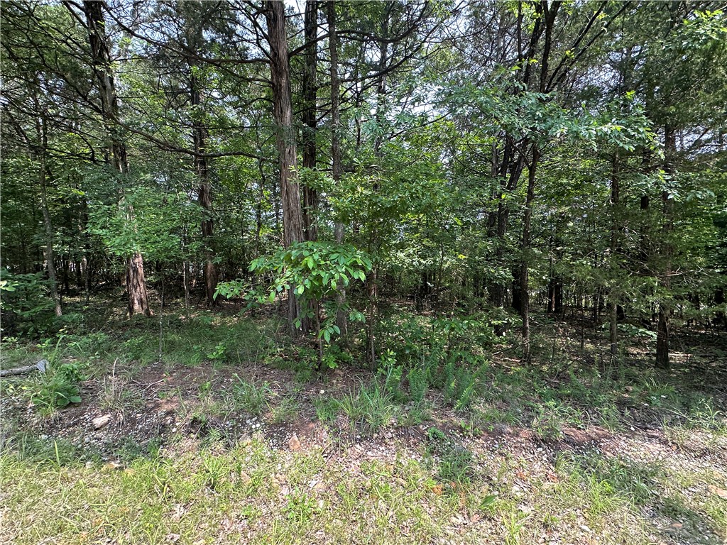 Diamond Point - Land