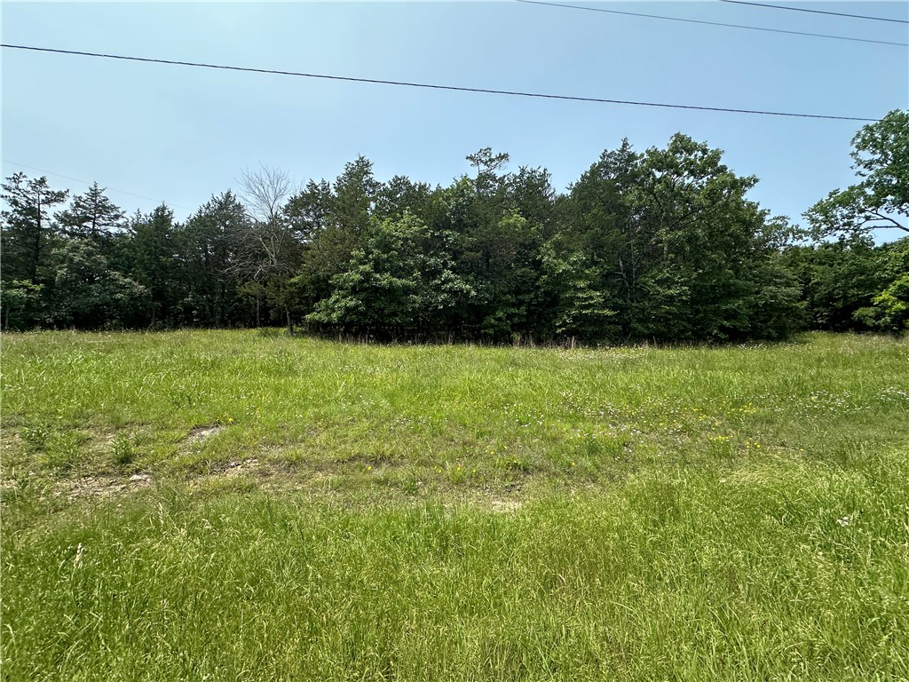 Diamond Point - Land