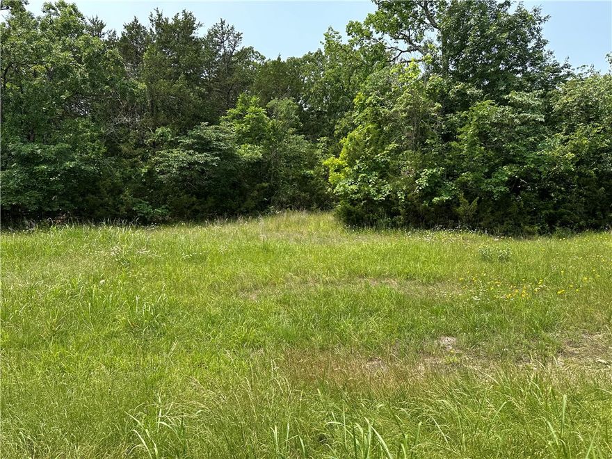 Here is your chance to own a prime lot in Diamond City, Arkansas, just steps from the Fire Department and right off HWY 7/Diamond Bay. With water, sewer, and electric available, this property is ready for your vacation getaway, weekend cabin, or future investment. Located in the quiet lakeside community, this lot is just minutes from Bull Shoals Lake, offering quick access to boating, fishing, and outdoor fun. Paved road frontage makes it east to access, and you're close to town amenities while still enjoying that relaxed lake-town feel. If you're looking for a vacation property or a place to build your own retreat, this is a great opportunity at an affordable price.