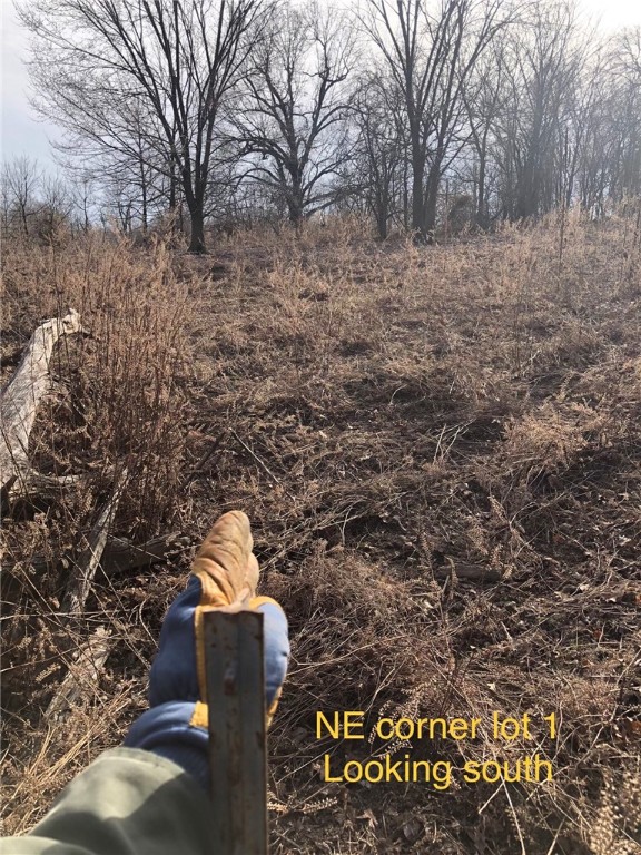 - - Land