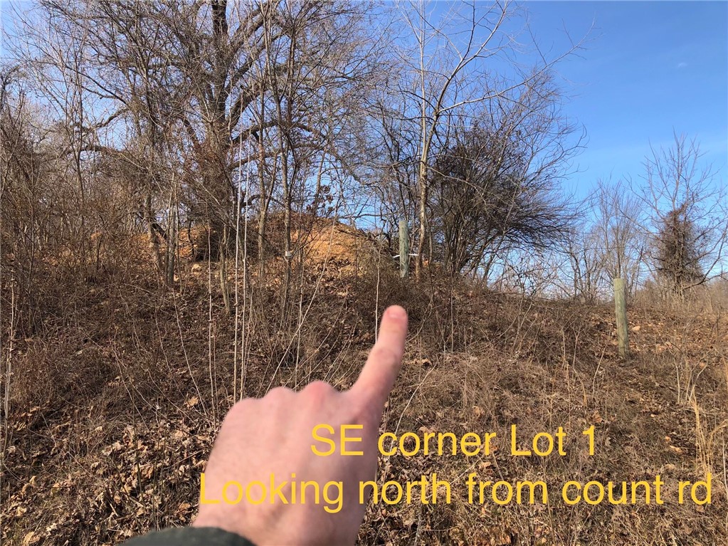 - - Land