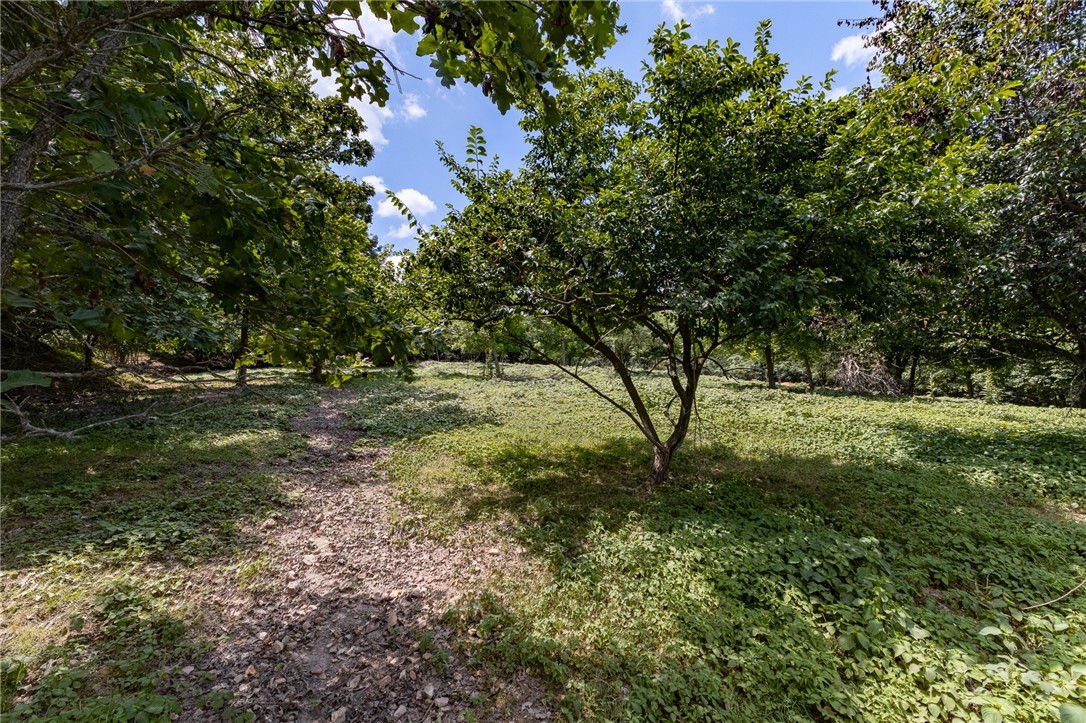 - - Land
