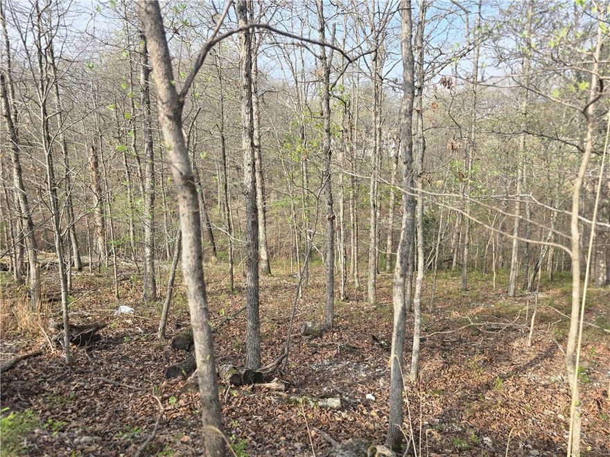 Auction will be held Friday, May 15th at 10:00 AM. This auction will feature both live & online bidding. The auction will be conducted remotely from our Elkins Branch located at 2129 N Center St, Fayetteville, AR 72701. Up for auction is a wooded 0.26-acre lot in Bella Vista ready for your future build. Located in a growing area within the Bentonville School District, this property offers a great opportunity for a primary residence, second home, or investment. Water and electric are available; septic will be required. Enjoy close proximity to Bella Vista's extensive amenities including lakes, bike parks, walking and riding trails, and outdoor recreation. This is a reserve auction. Property is sold As-Is. Buyers are encouraged to view and/or inspect the property prior to the auction. Please visit our website for full terms and conditions.