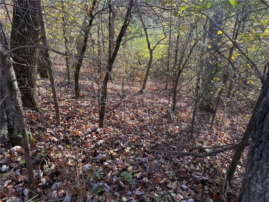 Unit 4 Holiday Island - Land