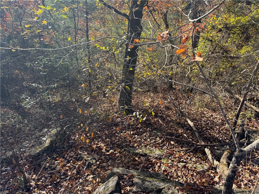 Unit 4 Holiday Island - Land