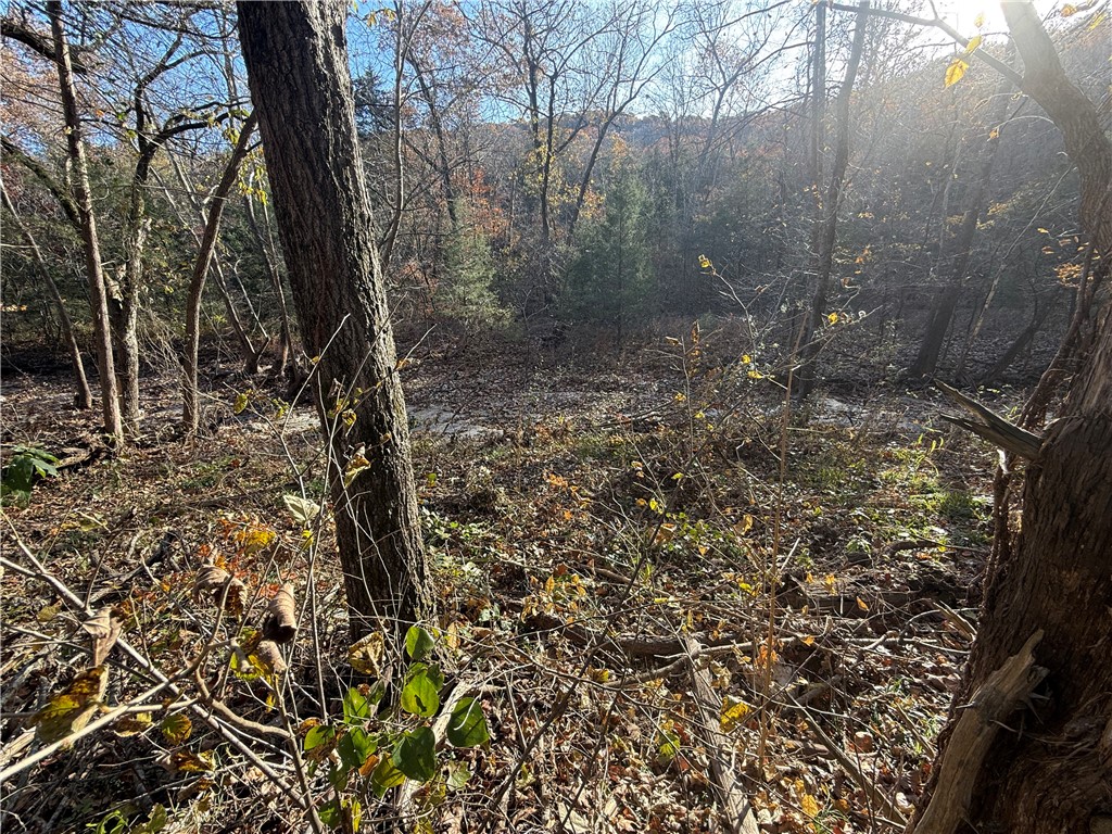 Unit 4 Holiday Island - Land