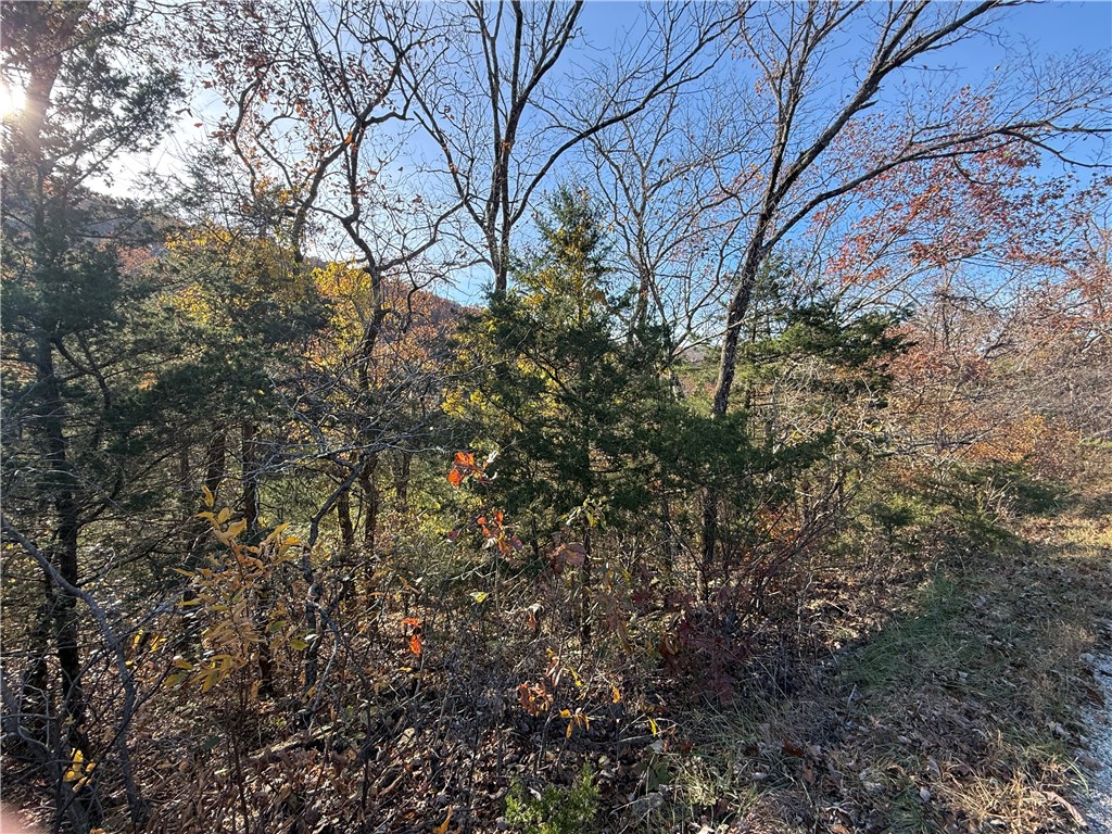 Unit 4 Holiday Island - Land