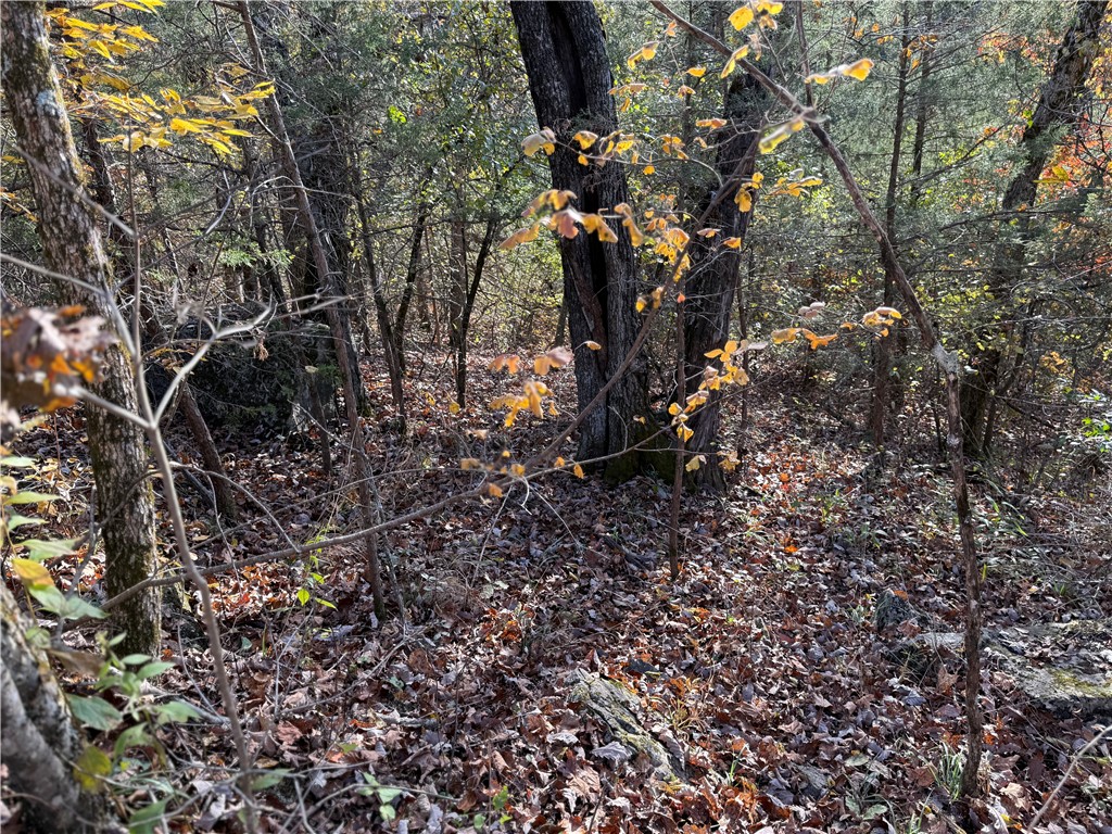 Unit 4 Holiday Island - Land