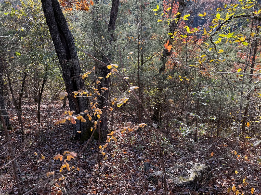 Unit 4 Holiday Island - Land