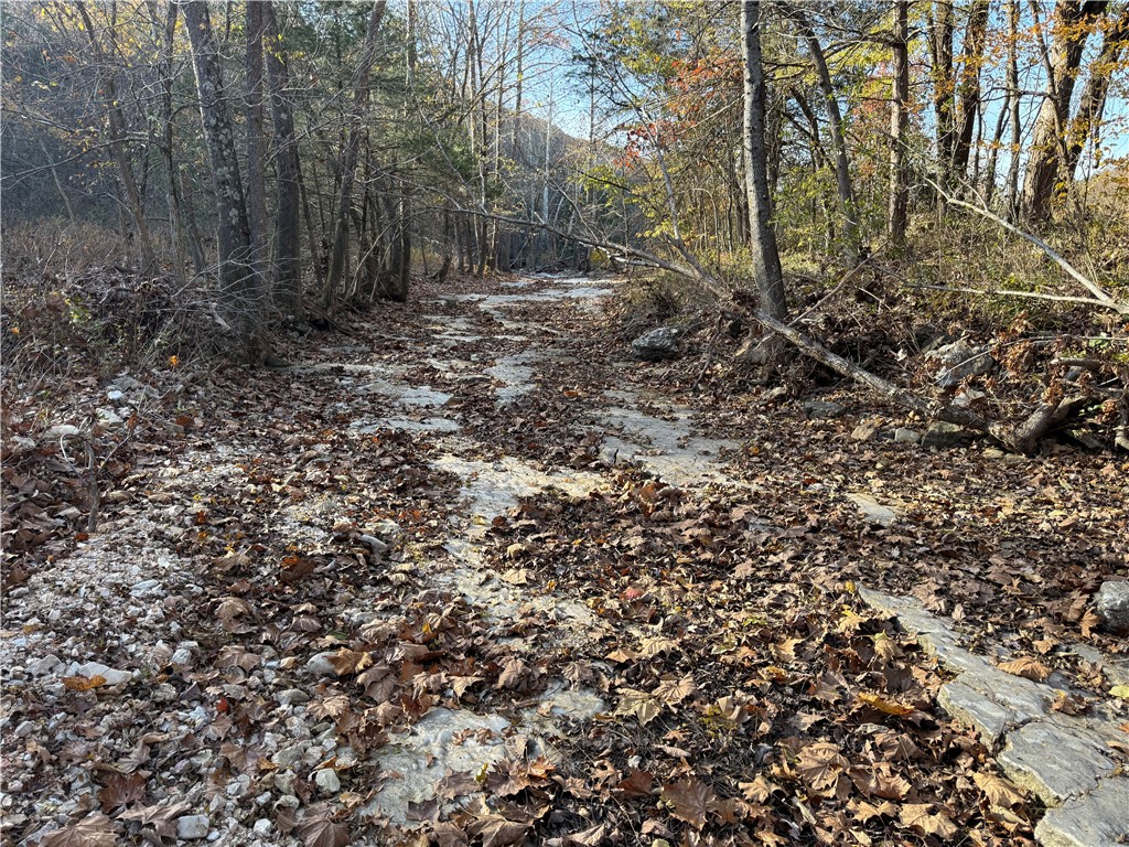 Unit 4 Holiday Island - Land