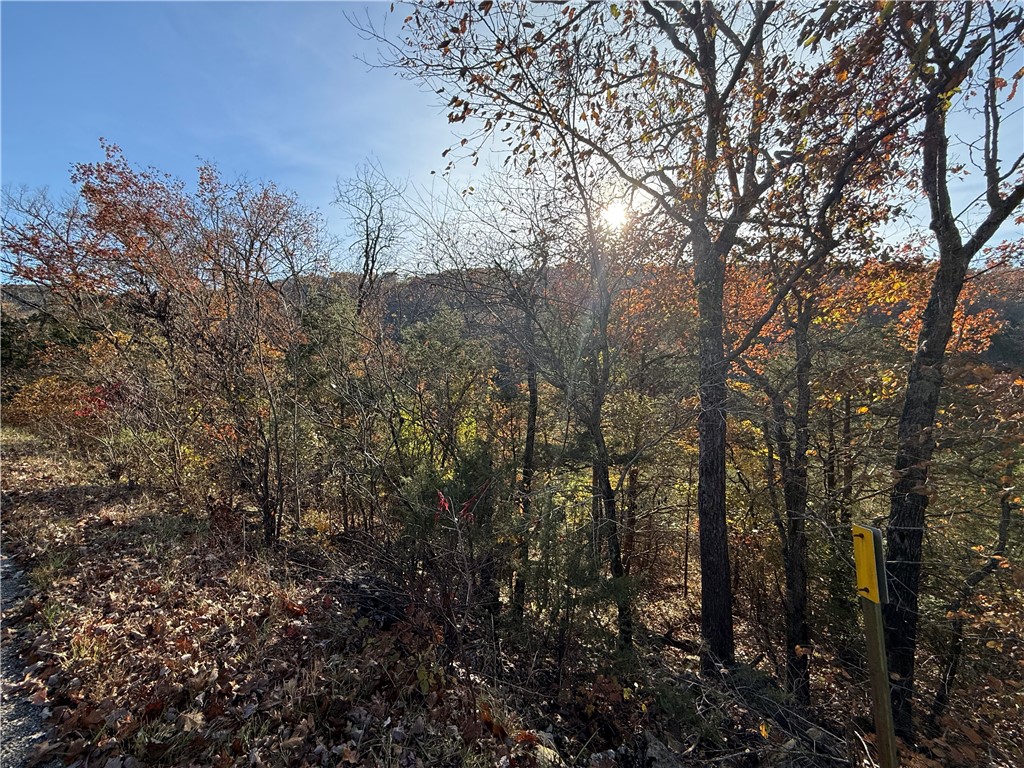 Unit 4 Holiday Island - Land