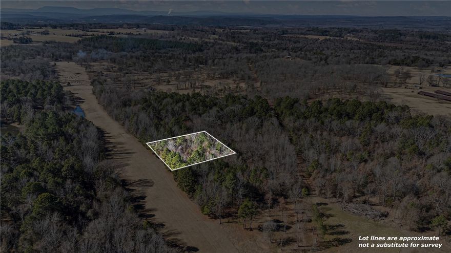 Discover a rare opportunity to own an one-acre lot in a unique and evolving rural setting, perfectly positioned next to an active airstrip. This property offers a distinctive blend of privacy, open space, and aviation access: ideal for enthusiasts, or anyone seeking something out of the ordinary. Imagine the convenience and excitement of fly-in access right to your doorstep, making travel seamless and truly one-of-a-kind. The surrounding area is already generating interest with planned development for a community campground, scenic lookout tower, and additional outdoor oriented amenities designed to enhance the natural landscape and create a destination atmosphere. The rural setting delivers peaceful surroundings, wide open skies, and a strong connection to nature while the nearby airstrip and upcoming community features add both value and appeal. Opportunities like this are increasingly rare: own a piece of land where lifestyle, recreation, and potential growth all take flight.