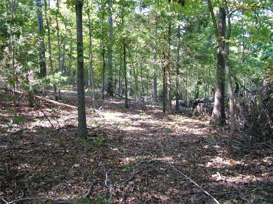 10.06 Acres of unrestricted land! Build your dream home just minutes from the White River! A cleared dirt road gives you access to a very nice building spot nestled deep in the woods. Only 79,900.