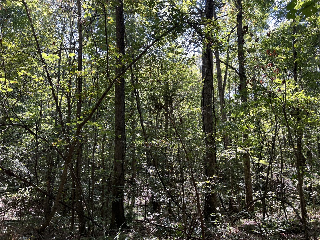 Beautiful mix of pasture and woods with year round Bear Creek frontage. This is a must see.
