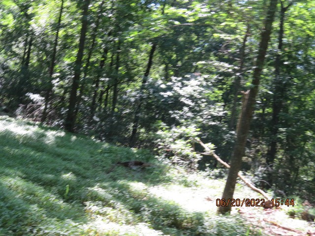 Mark Brewer I - Land