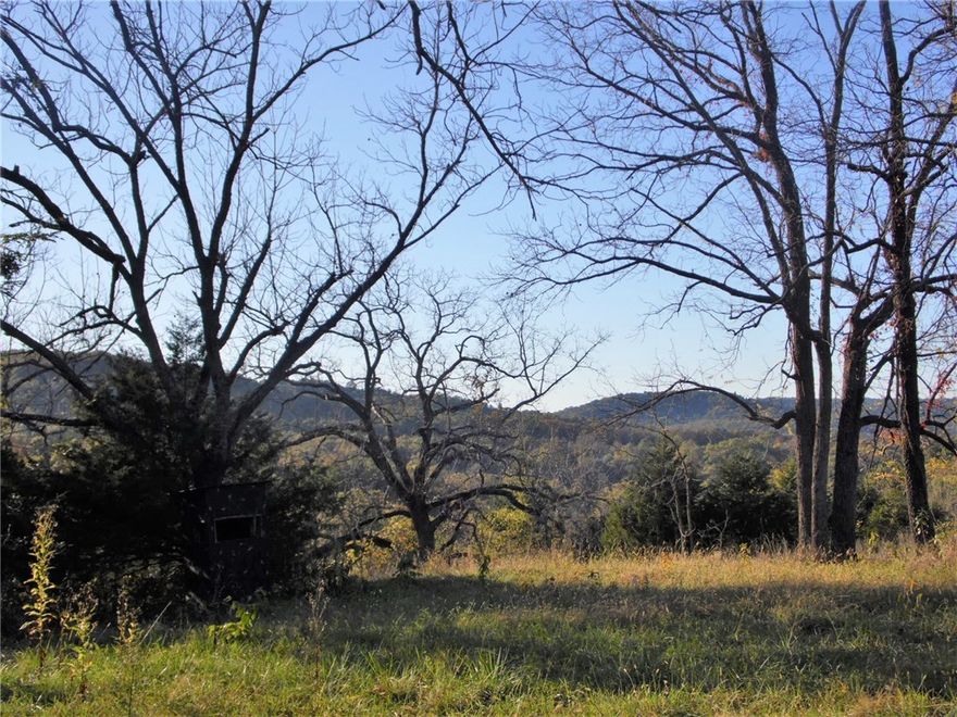 Unusually large parcel of beautiful Ozarks property. Mountain views, old home place, huge trees, ponds, woods, some pasture. Great for hunting. Near the Kings River and Victorian Village of Eureka Springs. Joins land purchased by nature Conservancy.  24 hour notice for showings.