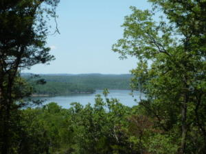 Great view of Bull Shoals Lake. Lake access. Great location. 35 minutes from Branson, MO