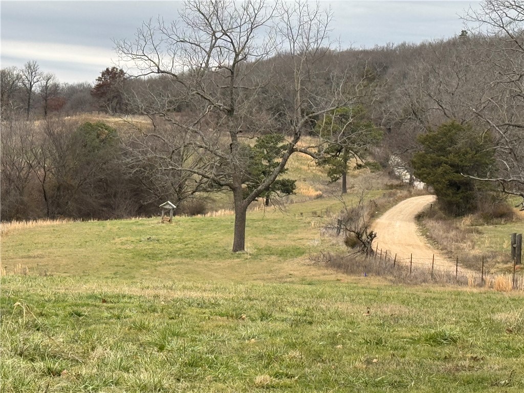 15 Acres! Part of 110 Acres that can be split in multiple ways for bigger tracts. Lots of county road frontage. Property on both sides of the road. Beautiful home building sites. Rural water is available. Septic needed. Beautiful views. Some pasture, some woods. 15 minutes from Harp's parking lot in Lincoln. Subject to split approvals. Soil test has been done. Agent owned