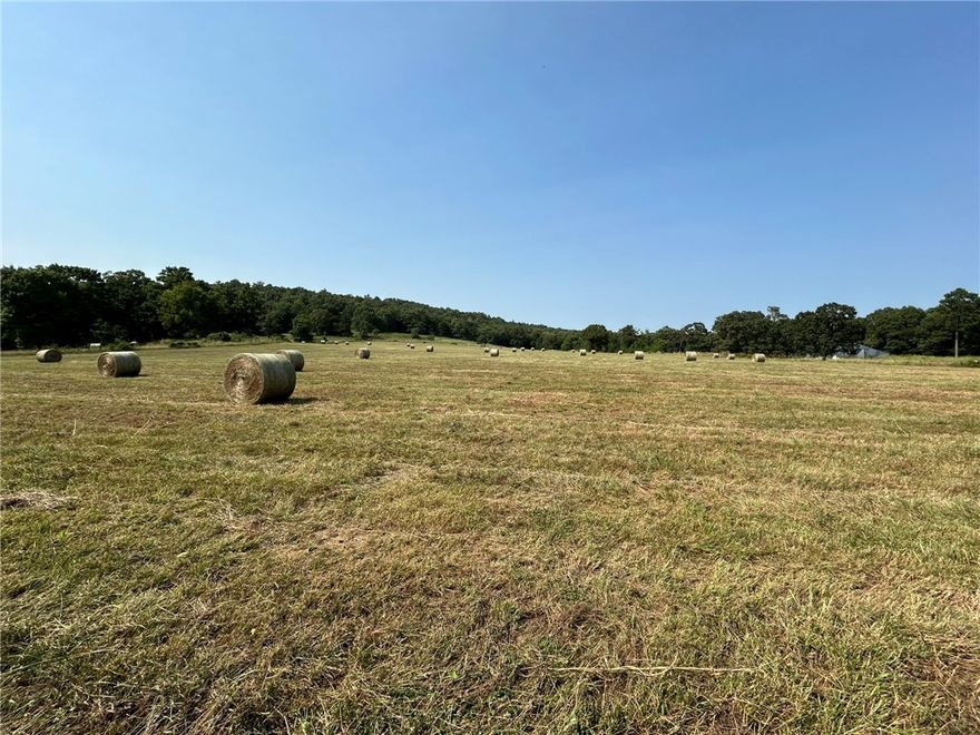 Here is your chance to own a piece of property that hasn't changed ownership in over 50 years! A true family farm ready for a new family to take over. The main section of the farmhouse was built in 1885 and moved to the property in the 60's. The land is primed for cattle operations, featuring a mix of open fields and wooded areas, providing both grazing and shelter for livestock. A well-equipped barn and several outbuildings offer ample storage and workspace for all your farming needs. Whether you're looking to expand your cattle operation or invest in a versatile piece of farmland, this property provides endless opportunities. Also listed under Land MLS# 1280517