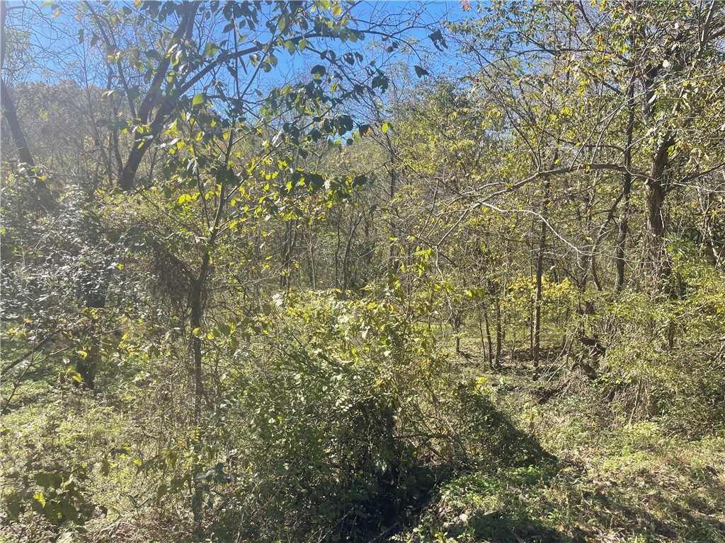 Surrey Sub Bvv - Land