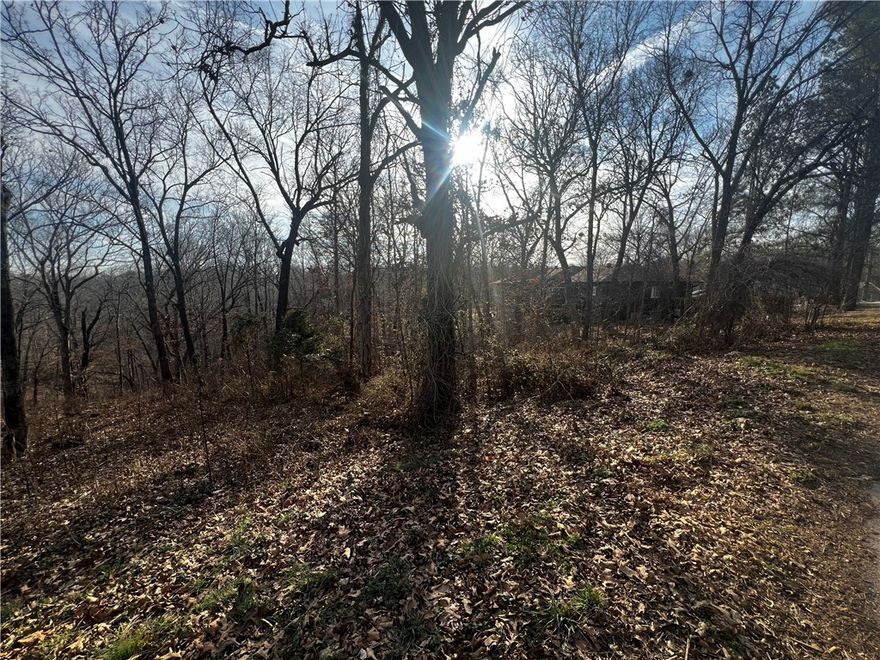 Build your dream home on this private, wooded lot in Bella Vista, Arkansas. Located on Oak Knoll Lane, Lot 15, Block 1 offers serene surroundings with access to Bella Vista’s premier amenities, including golf courses, scenic lakes like Lake Windsor, parks, and miles of biking and walking trails throughout the Bella Vista Trail System. Just minutes from Bentonville and attractions such as Crystal Bridges Museum of Art, plus shopping, dining, and entertainment. Ideal for a primary residence, vacation retreat, or investment property. Buyer to verify utilities and POA requirements.
